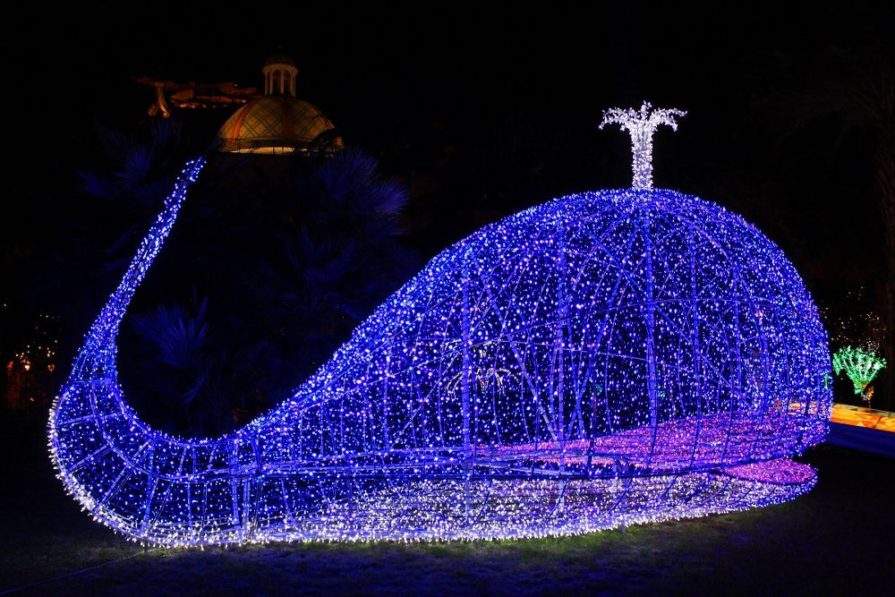 © lucidartista.comune.salerno.it