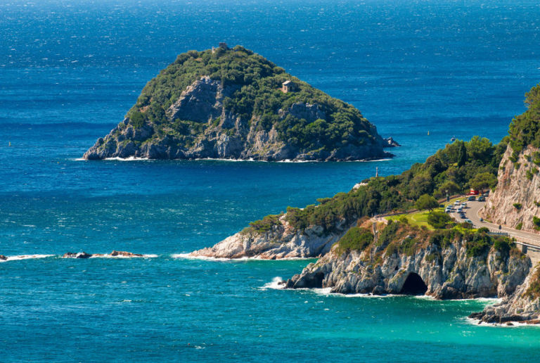 Paletta Reggiscopa Innovativa UP! - Solleva E Protegge Le Setole, Made In Italy, Perfetta Per Spazi Stretti - Foto 8