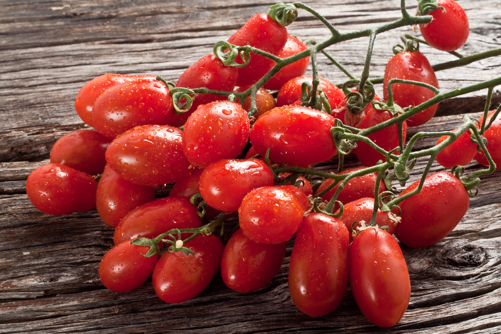 1 ingrediente 3 ricette – Pomodoro San Marzano DOP – La Tua Italia