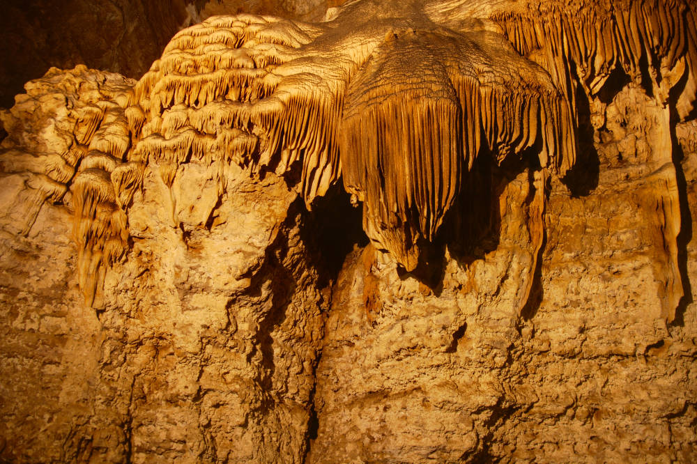 Фото: Wikimedia Commons