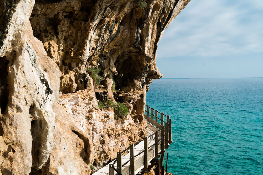Фото: Shutterstock.com