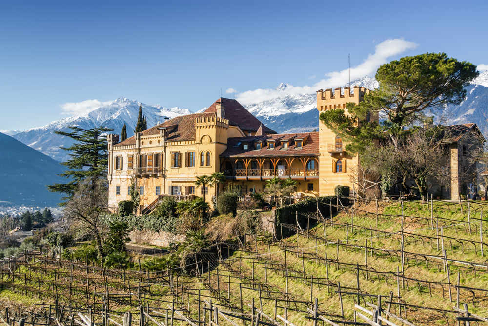 Лучшие сорта итальянских вин: посадка и уход